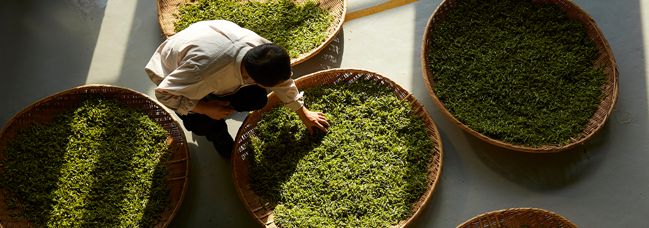 'BLESSED BY NATURAL RESOURCES' section picture