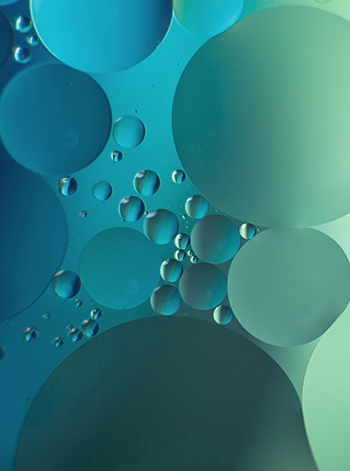 느슨한 연대 전시 이미지