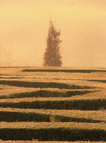 THE WANDERER 전시 이미지