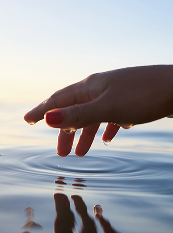 환경과의 유대 전시 이미지