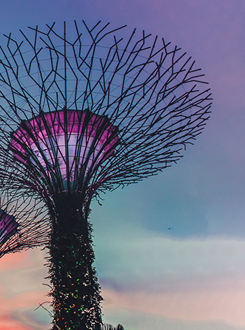 인공적인 자연 시간 전시 이미지